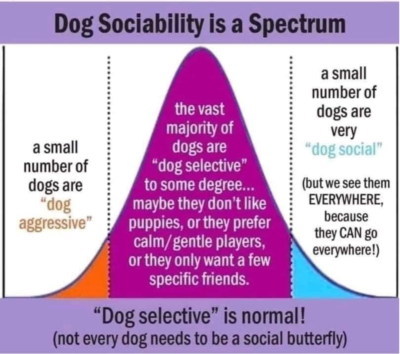social and agressive dog graphical specturm